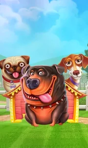 The Dog House