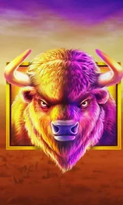 Buffalo King